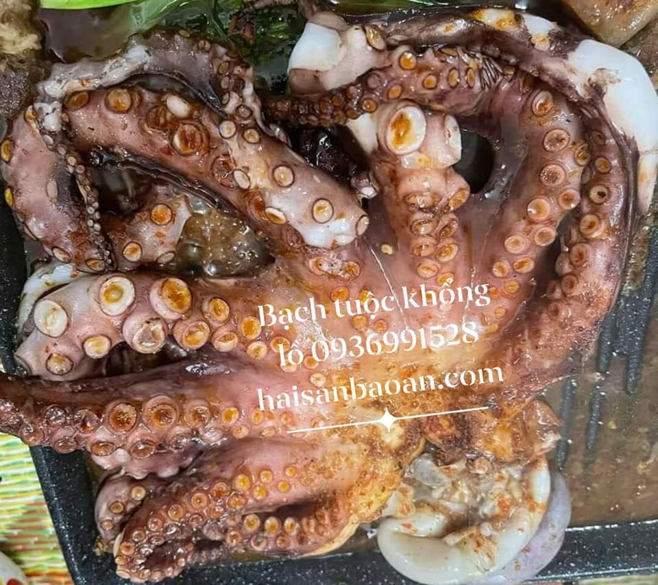 Bạch tuộc khổng lồ nướng