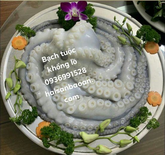 Bạch tuộc khổng lồ