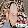 Cá thu 1 nắng khúc giữa