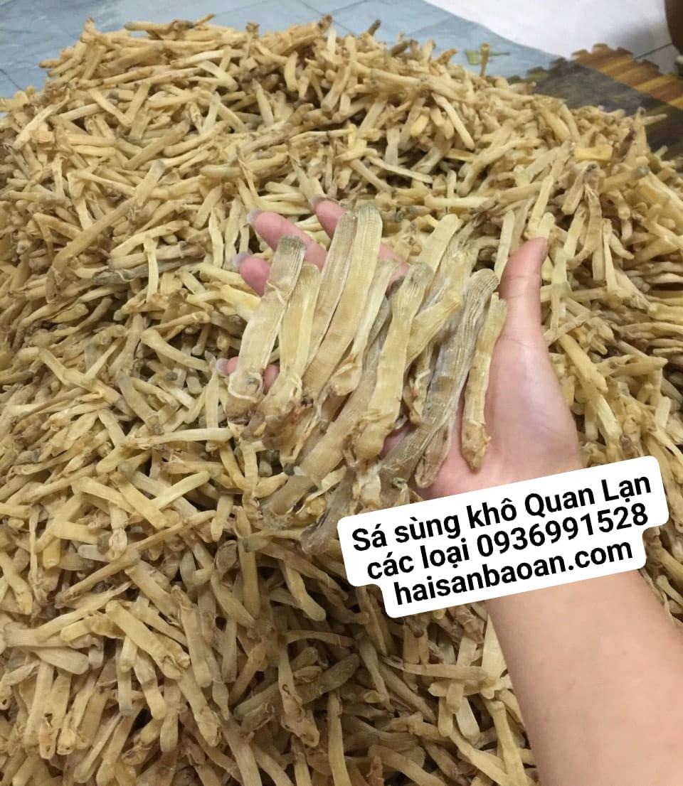 sa-sung-kho-quan-lan-quang-ninh