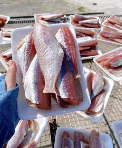 Cá phèn hồng 1 nắng