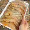 Tôm he biển tự nhiên đảo vĩnh thực