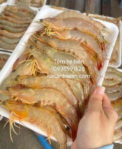 Tôm he biển tự nhiên đảo vĩnh thực