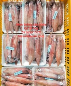 Mực trứng câu nháy