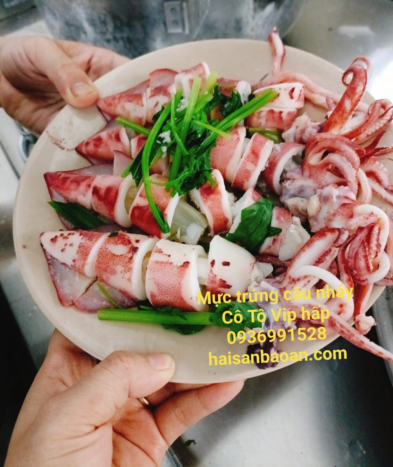 Cần bán mực trứng câu ngon giá tốt Cần bán mực trứng câu ngon giá tốt