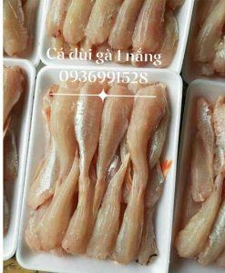 Cá đùi gà một nắng