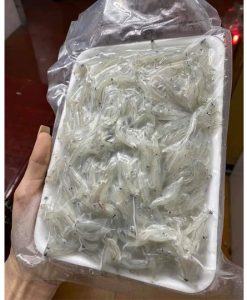 Cá mờn cơm sữa tươi