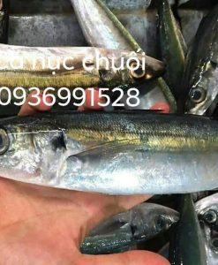 Cá nục tươi làm sạch