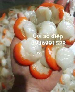 Cồi sò điệp