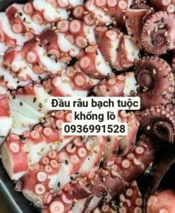 Đầu râu bạch tuộc to khủng không mạ