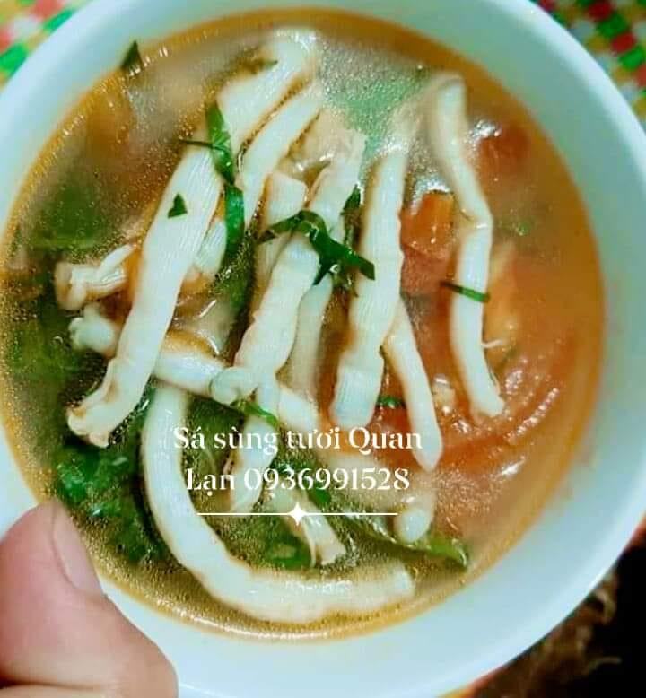 Sá sùng tươi Quan Lạn nấu chua