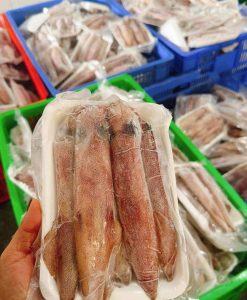 Mực ống câu Cô Tô