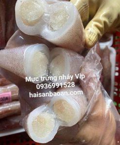 Mực trứng câu nháy
