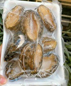 Bào ngư cấp đông