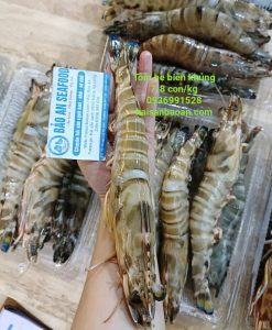 Tôm he vằn biển