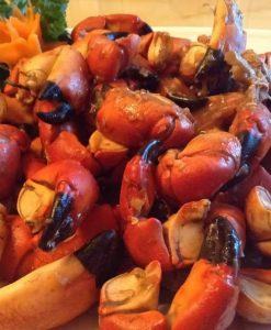 Càng cù kỳ tươi to