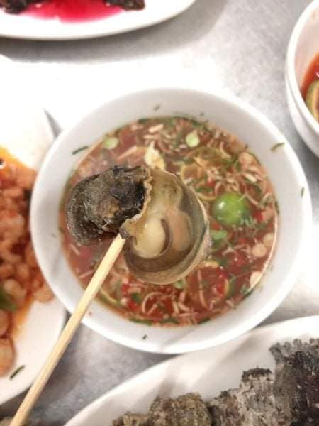 Ốc sư tử chấm mắm