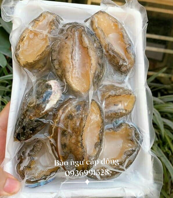 Sơ chế bào ngư tươi ngon
