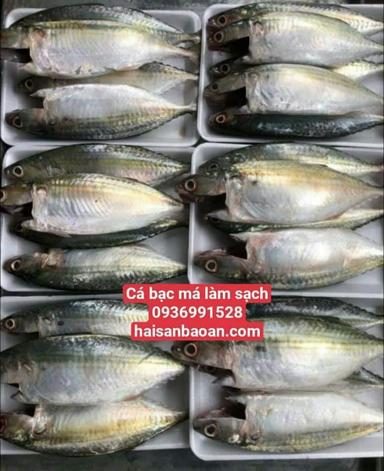 Cá bạc má làm sạch sẵn