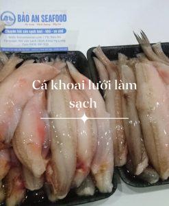 Cá khoai