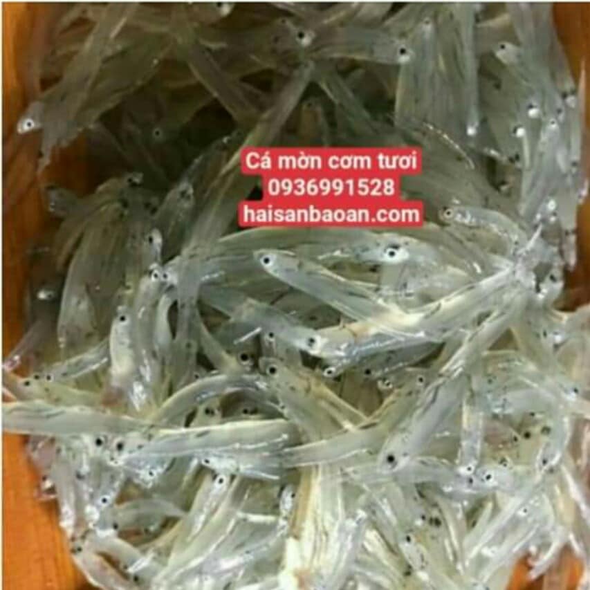 Cá mờn cơm sữa chiên chả
