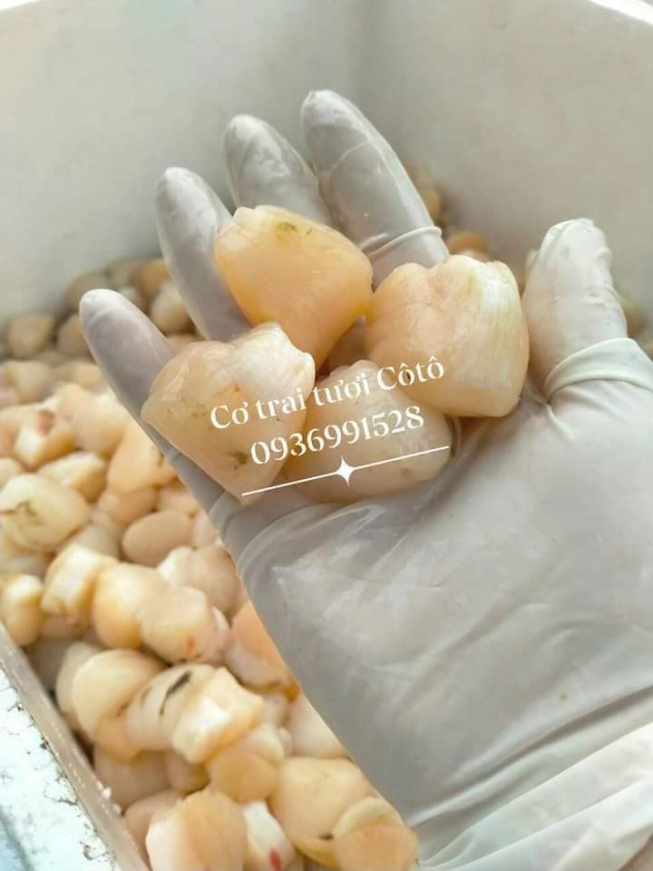 Làm cơ trai Cô Tô khô