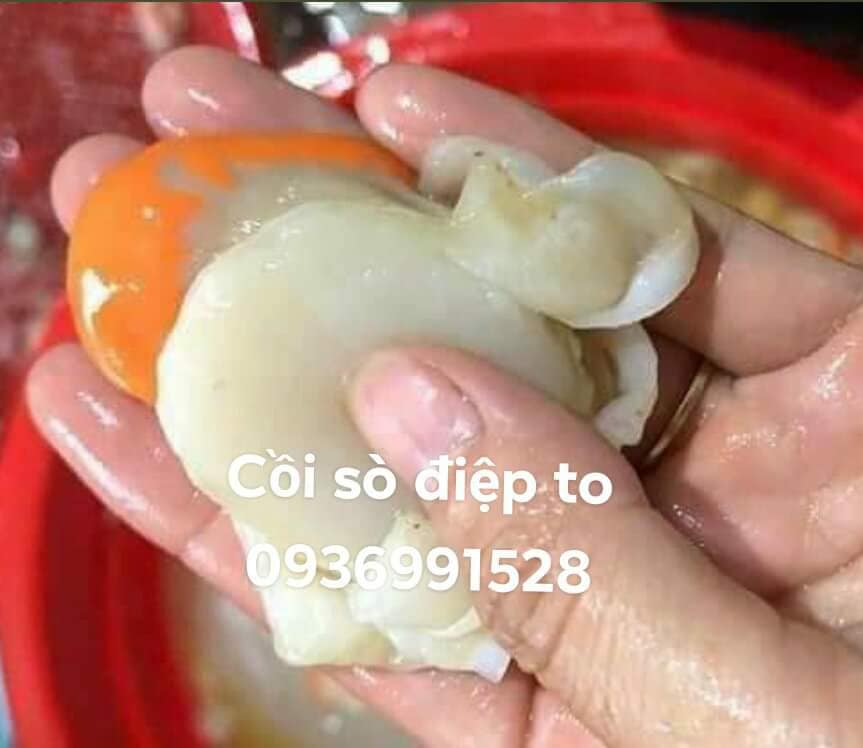 Sơ chế cồi sò điệp
