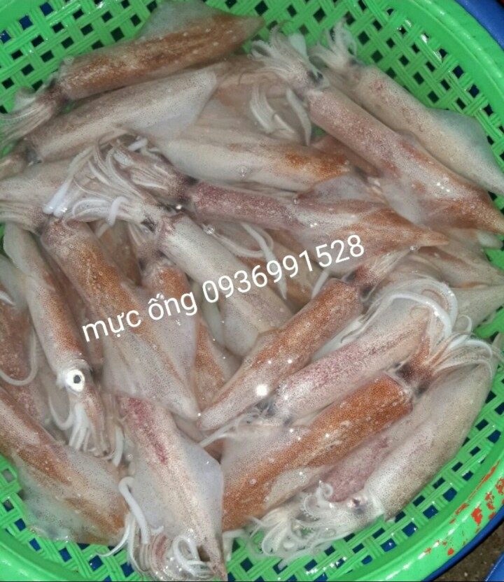 Cách hấp nước dừa với mực ống