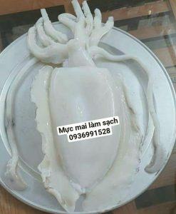 Mực mai to làm sạch