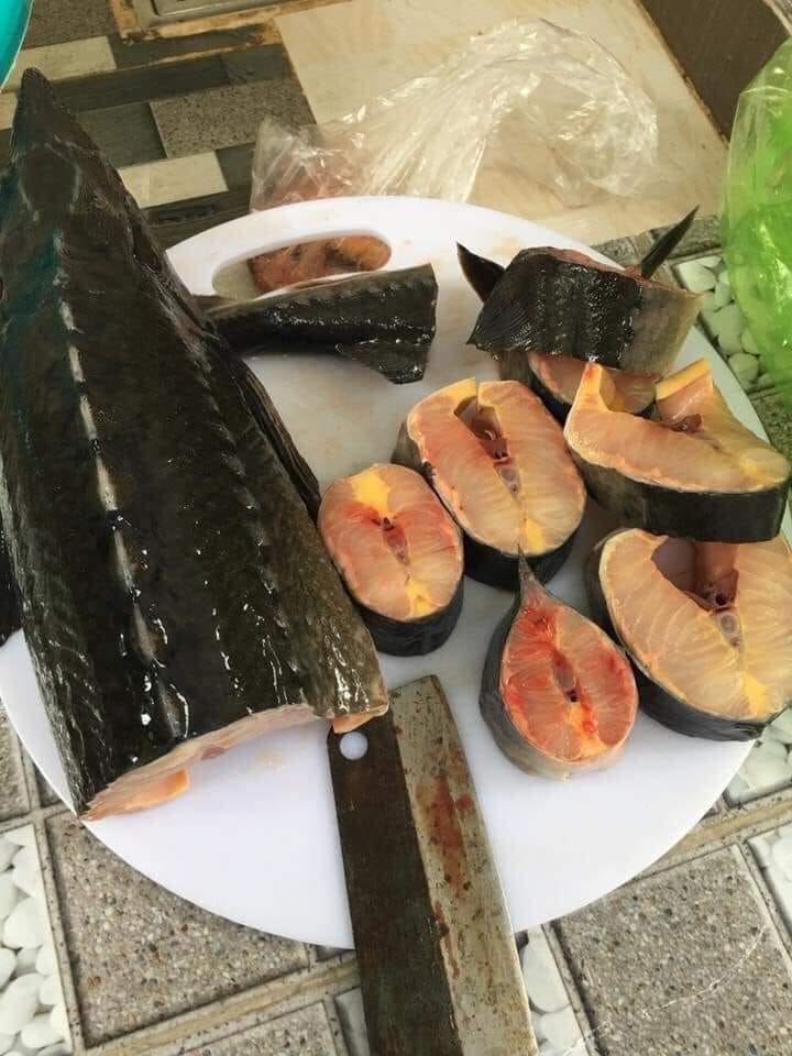 Lẩu cá tầm tươi ngon