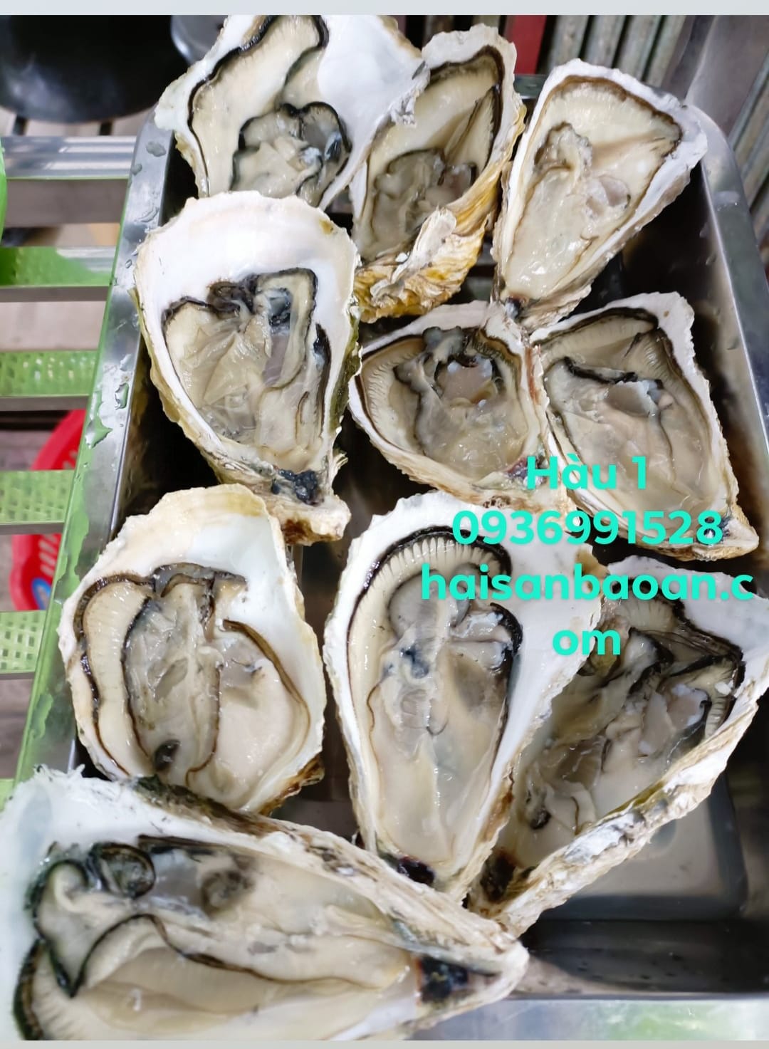 Chuẩn bị tách hàu tươi để nướng