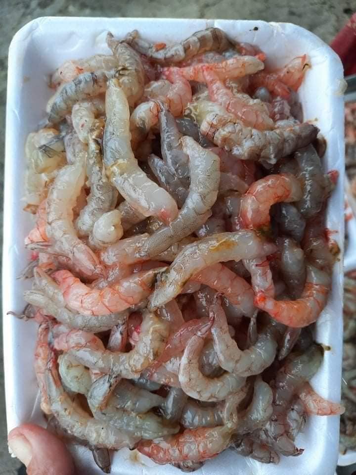 Nõn tôm sắt tươi bóc sẵn