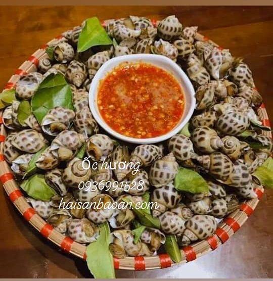 Nguyên liệu ốc hương