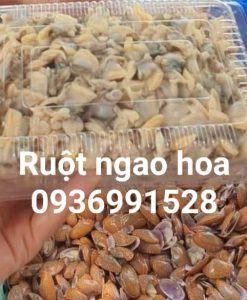 Ruột ngao hoa