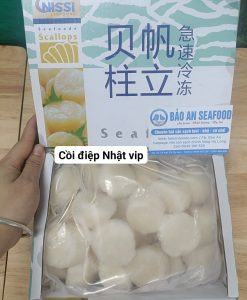 Cồi Sò Điệp Nhật