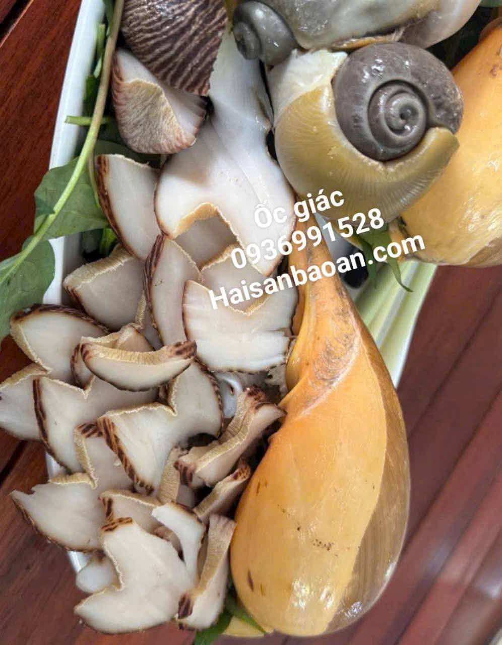 [Image: 578279508_1435406388589256_3294031717773639761_n.jpg]